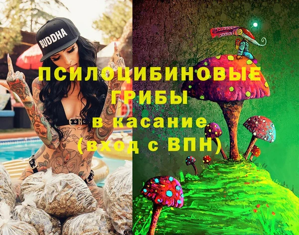 гидропоника Арсеньев