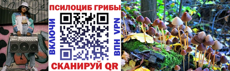OMG маркетплейс Бабаево Галлюциногенные грибы мухоморы